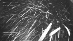 Pension Helena Honesová