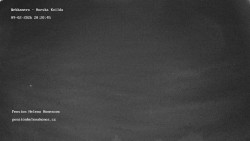 Pension Helena Honesová