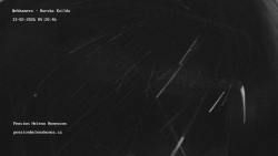 Pension Helena Honesová