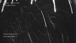 Pension Helena Honesová