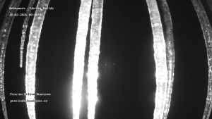 Obec Horská Kvilda - Pension Helena Honesová - 18.2.2026 v 00:45