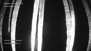 Obec Horská Kvilda - Pension Helena Honesová - 18.2.2026 v 03:45