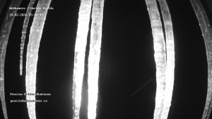 Obec Horská Kvilda - Pension Helena Honesová - 18.2.2026 v 05:45