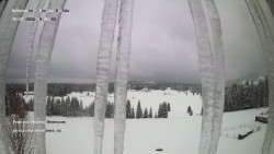 Pension Helena Honesová