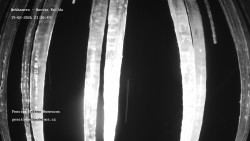 Pension Helena Honesová