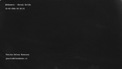 Pension Helena Honesová