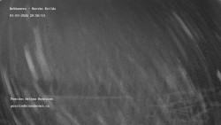 Pension Helena Honesová