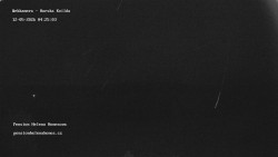 Pension Helena Honesová