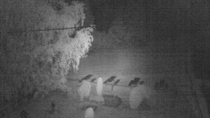 Horský hotel Čarták na Soláni - Ski Čarták Soláň - 6.9.2023 v 01:00