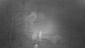 Horský hotel Čarták na Soláni - Ski Čarták Soláň - 16.11.2023 v 00:00 Horský hotel Čarták na Soláni - Ski Čarták Soláň - 16.11.2023 v 00:00