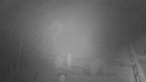 Horský hotel Čarták na Soláni - Ski Čarták Soláň - 16.11.2023 v 04:00 Horský hotel Čarták na Soláni - Ski Čarták Soláň - 16.11.2023 v 04:00