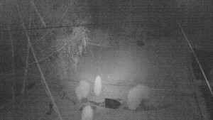 Horský hotel Čarták na Soláni - Ski Čarták Soláň - 15.11.2024 v 01:00 Horský hotel Čarták na Soláni - Ski Čarták Soláň - 15.11.2024 v 01:00