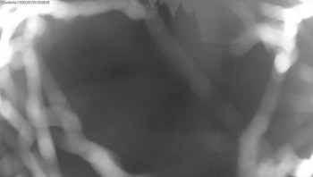 Snímek    4.7.2025 v 22:00
