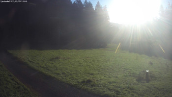 Snímek    19.9.2025 v 07:45