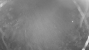 Lyžařské středisko Aš - Sejzdovka Jednička - 15.12.2025 v 01:30