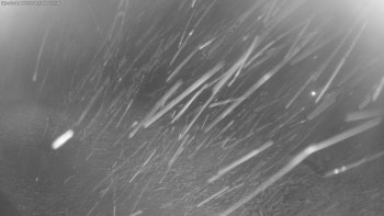 Lyžařské středisko Aš