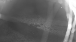 Skigebiet Aš - Skigebiet Nummer eins - 30.10.2026 v 01:45 Skigebiet Aš - Skigebiet Nummer eins - 30.10.2026 v 01:45