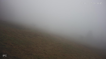 Snímek 8.11.2025 v 08:15