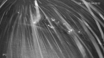 Ski areál Velflink Pernink