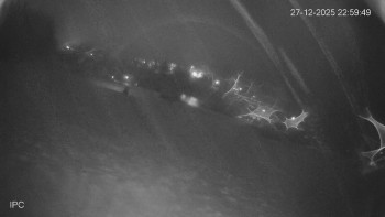 Ski areál Velflink Pernink