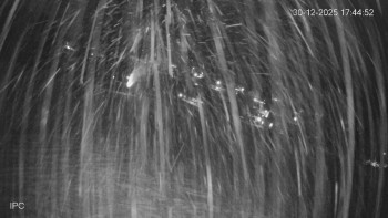 Ski areál Velflink Pernink