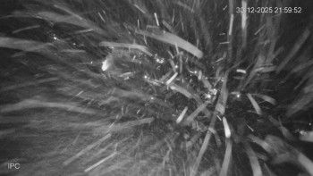 Ski areál Velflink Pernink