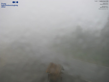 Snímek    7.7.2025 v 07:30
