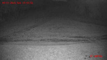 Snímek    1.11.2025 v 19:45