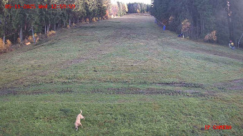 Snímek    5.11.2025 v 13:00