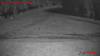 Snímek    6.11.2025 v 03:45