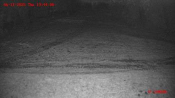 Snímek 6.11.2025 v 19:45