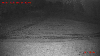 Snímek 6.11.2025 v 20:00