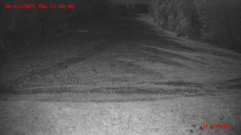 Snímek 6.11.2025 v 21:00