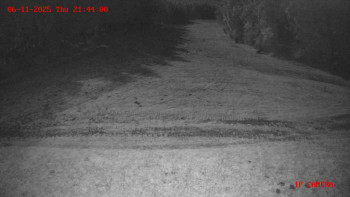 Snímek 6.11.2025 v 21:45