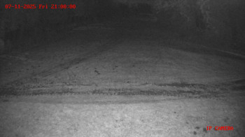 Snímek 7.11.2025 v 21:00