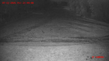 Snímek 7.11.2025 v 21:45