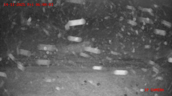 Snímek    14.11.2025 v 06:00