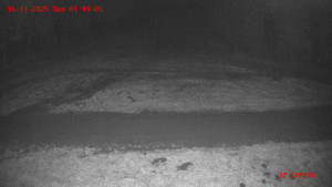 Skiareál Klepáčov - Červená sjezdovka - 16.11.2025 v 01:45 Skiareál Klepáčov - Červená sjezdovka - 16.11.2025 v 01:45