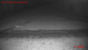 Skiareál Klepáčov - Červená sjezdovka - 18.11.2025 v 05:45