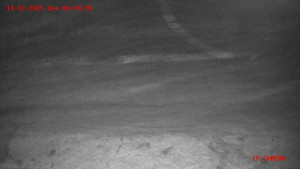 Skiareál Klepáčov - Červená sjezdovka - 14.12.2025 v 00:45 Skiareál Klepáčov - Červená sjezdovka - 14.12.2025 v 00:45