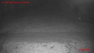 Skiareál Klepáčov - Červená sjezdovka - 14.12.2025 v 02:45 Skiareál Klepáčov - Červená sjezdovka - 14.12.2025 v 02:45