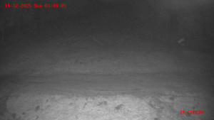 Skiareál Klepáčov - Červená sjezdovka - 14.12.2025 v 03:45 Skiareál Klepáčov - Červená sjezdovka - 14.12.2025 v 03:45