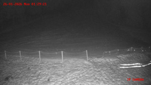 Skiareál Klepáčov - Červená sjezdovka - 26.1.2026 v 01:30