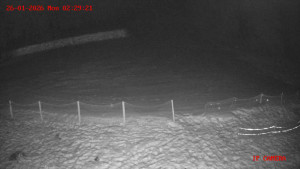 Skiareál Klepáčov - Červená sjezdovka - 26.1.2026 v 02:30