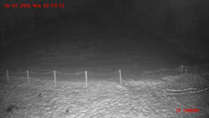 Skiareál Klepáčov - Červená sjezdovka - 26.1.2026 v 03:00