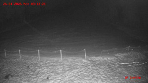 Skiareál Klepáčov - Červená sjezdovka - 26.1.2026 v 03:15