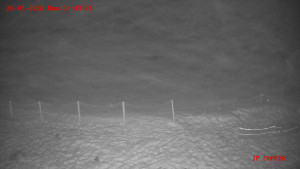 Skiareál Klepáčov - Červená sjezdovka - 26.1.2026 v 03:45 Skiareál Klepáčov - Červená sjezdovka - 26.1.2026 v 03:45