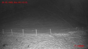 Skiareál Klepáčov - Červená sjezdovka - 26.1.2026 v 04:15