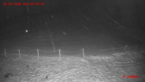 Skiareál Klepáčov - Červená sjezdovka - 26.1.2026 v 05:00