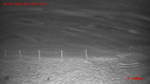 Skiareál Klepáčov - Červená sjezdovka - 26.1.2026 v 06:00